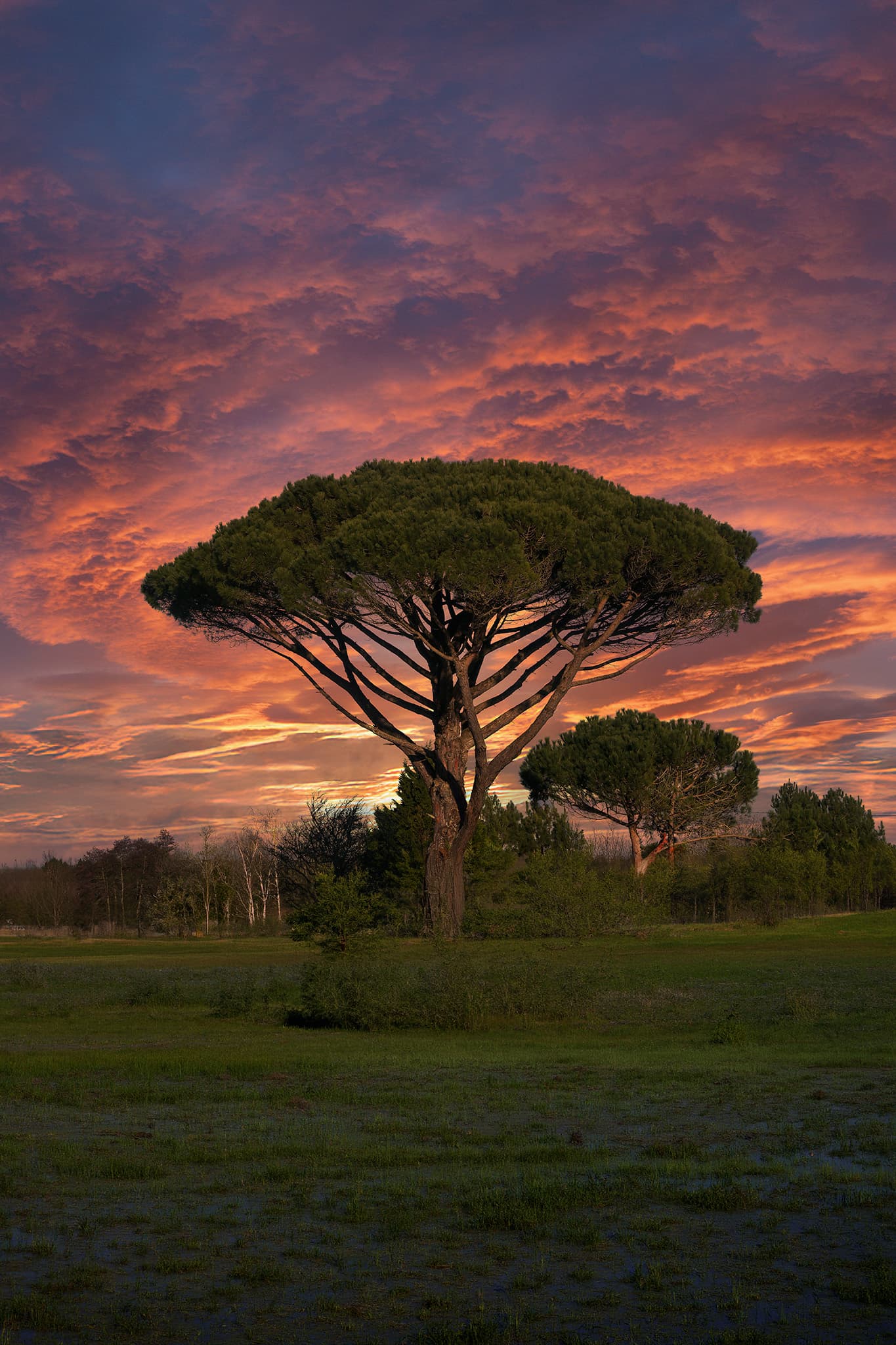  Le gardien du soir 