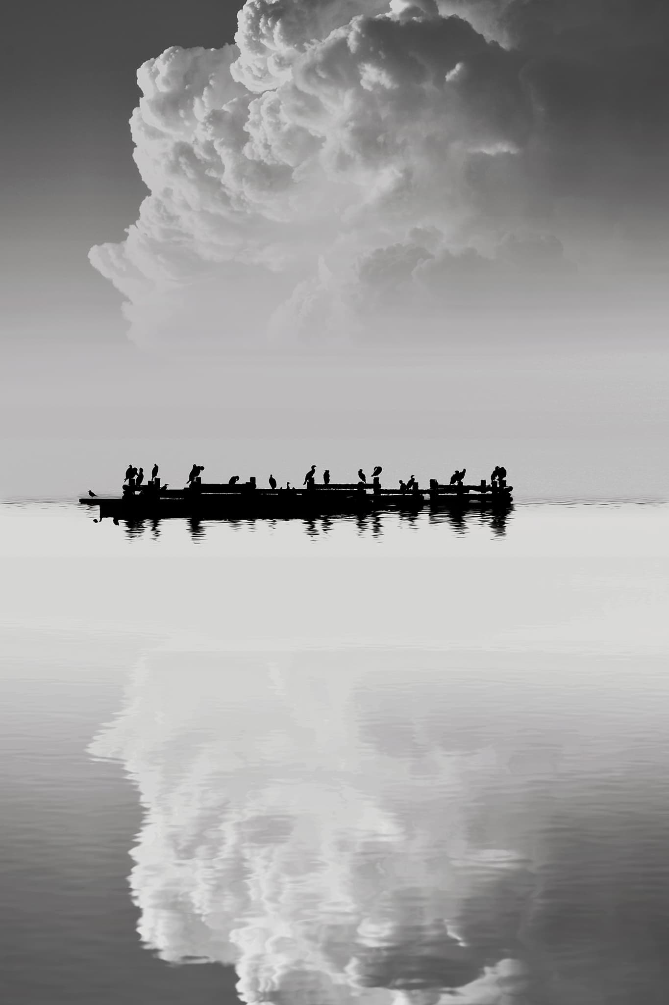 Alignement